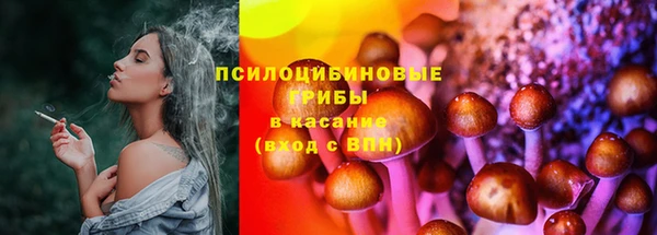 шишки Абаза
