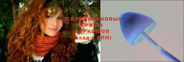 шишки Абаза