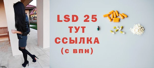 шишки Абаза