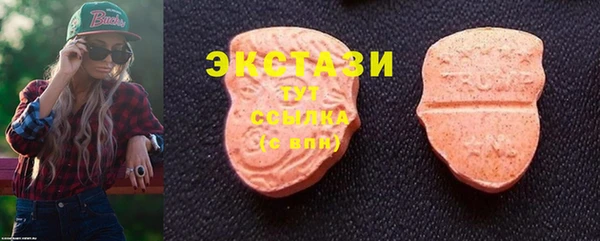 шишки Абаза