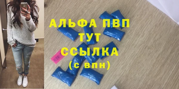 шишки Абаза